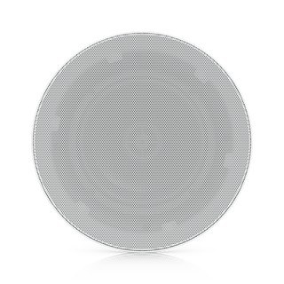 In-Ceiling Speaker