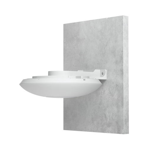 AP Arm Mount